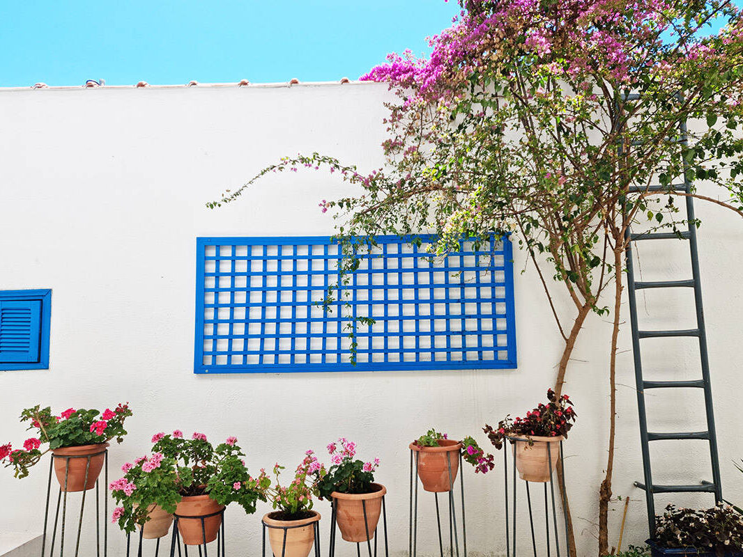 Casa Di Estella